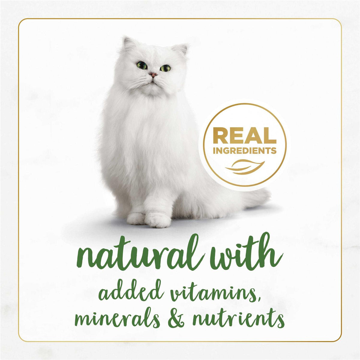 Wet Cat Food Variety Pack J79453