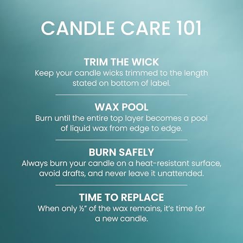 22oz Large Jar Scented Candle E12167