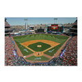 Giant Removable Wall Decal R783